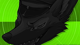 black fox illustration, music, Lapfox Trax