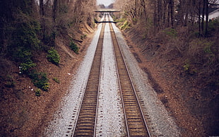 brown train railroad, railway, bridge HD wallpaper