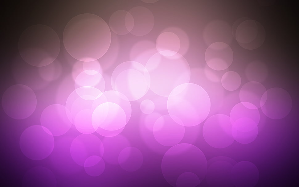 purple wallpaper HD wallpaper