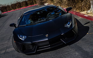 black Lamborghini coupe, car, Lamborghini, Lamborghini Aventador