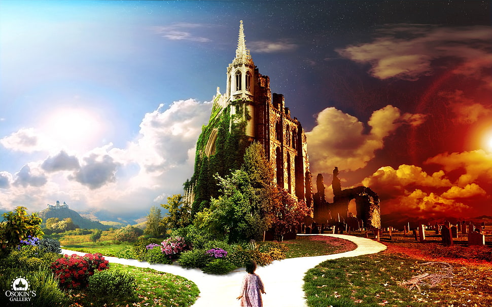 brown concrete castle, castle HD wallpaper