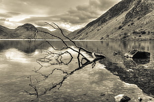 grayscale photography of wood log on body of water surrounded with mountains