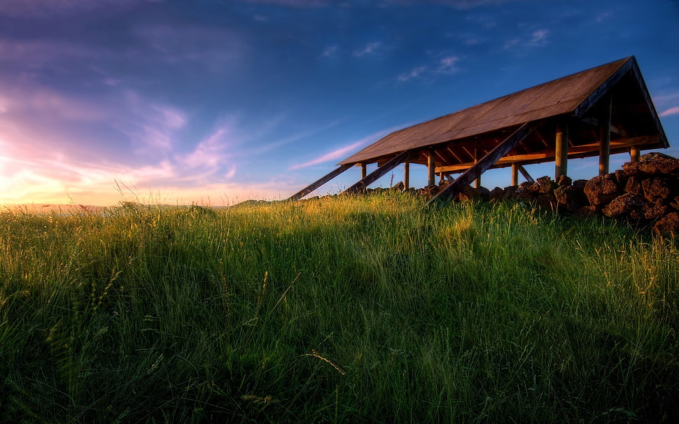 brown wooden roof HD wallpaper