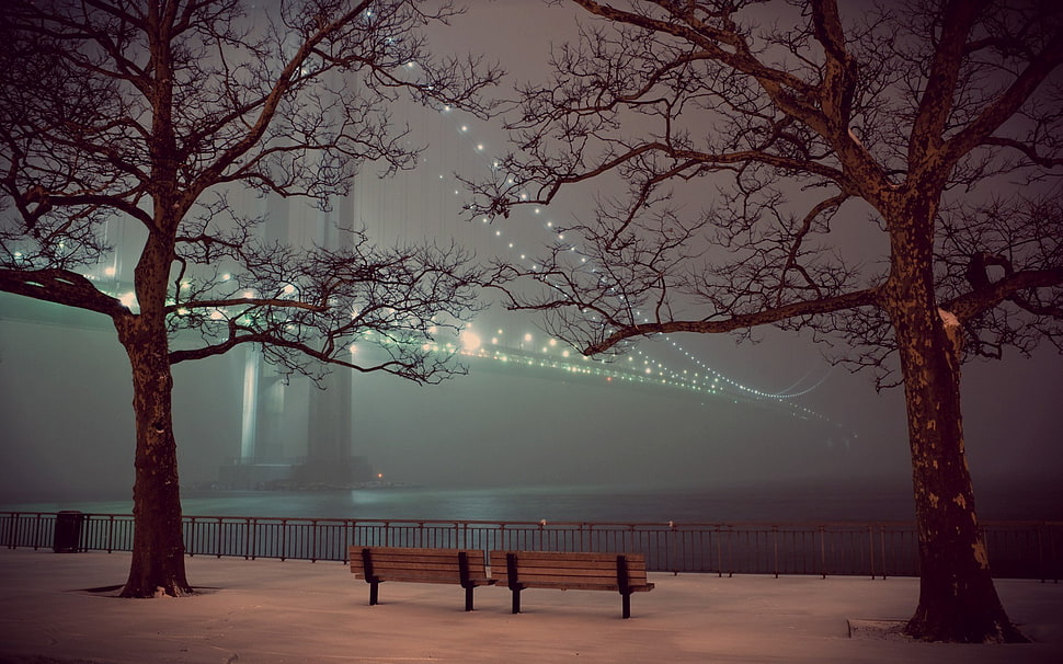 brown wooden bench, trees, bench, water, bridge HD wallpaper
