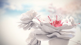 white and red flower digital art, abstract, flowers, white, pink