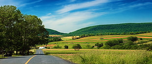 gray road between grass fields during daytime HD wallpaper