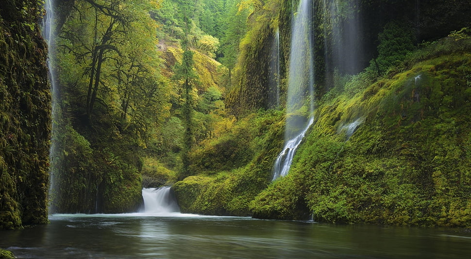 green leafed tree, landscape, river, waterfall, forest HD wallpaper