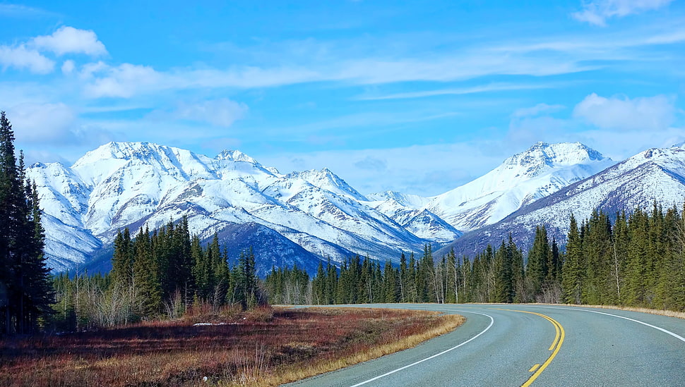 green leaf trees near mountain covered with snow, alaska HD wallpaper