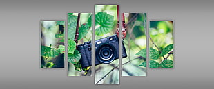 five panel painting of black point-and-shoot camera, camera, technology, leaves