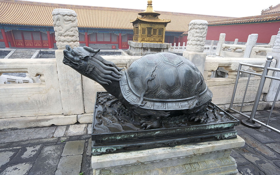 black turtle concrete statue HD wallpaper
