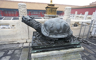 black turtle concrete statue
