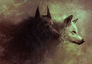 3D painting of black and white wolfs, wolf, digital art, fantasy art, artwork