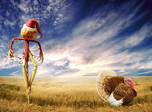 photograph of scarecrow and turkey