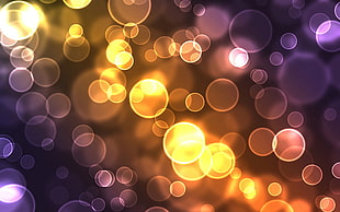bokeh photograph wallpaper HD wallpaper