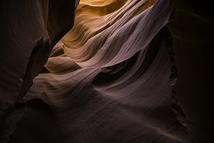 macro photography of black and brown cave HD wallpaper