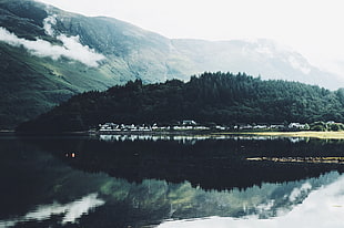 forest, body of water, and mountains HD wallpaper