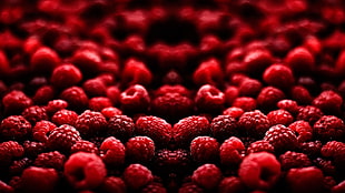 red raspberry fruits, mirrored, raspberries, fruit