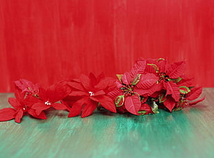 red flower art table decor HD wallpaper