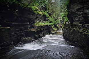 nature, water, creek, stream HD wallpaper