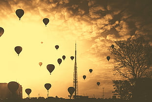 silhouette photo of air balloons during sunset