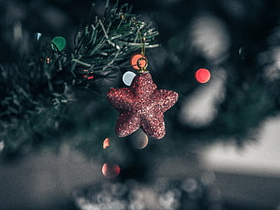 red star ornament, Star, Christmas tree, Shine