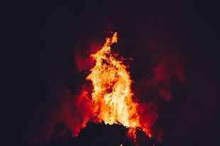 wild fire on forest, nature, fire, campfire HD wallpaper