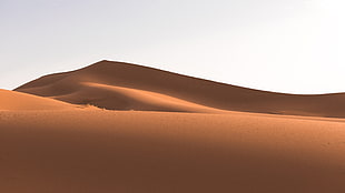 landscape, sand, desert, dune
