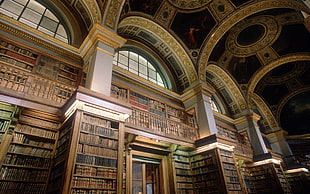 brown wooden bookshelf, books, library, shelves, arch