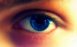 human blue eye