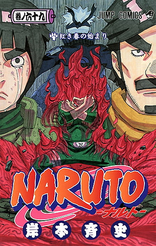 Rock Lee Naruto characters painting