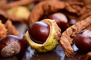 red nuts with brown shell
