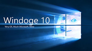 Windoge 10 text overlay, doge, Shiba Inu, Microsoft Windows, memes