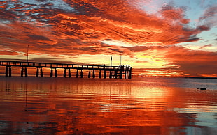 dock near body of water during golden hour