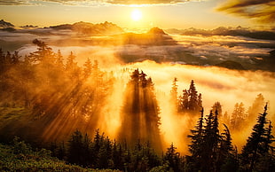 mountains with fogs, nature, landscape, mountains, sunlight