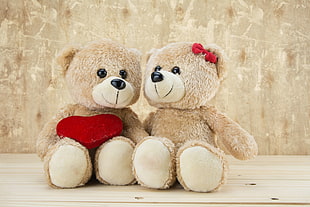 two brown bear plush toy s HD wallpaper