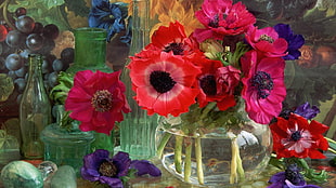 red and blue poppies flower