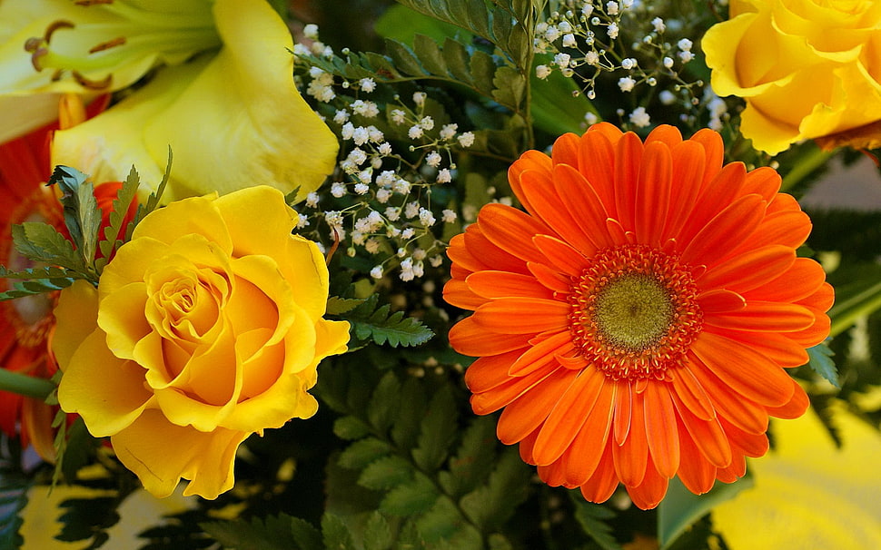 shallow focus photography of yellow and orange flowers HD wallpaper