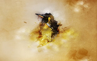 black and yellow bird illustration