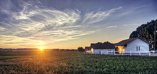 landscape photography of two white wooden houses in front of green grass during golden hour