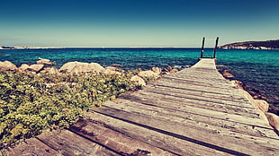 brown wooden dock, nature, beach, rock, sea HD wallpaper