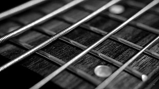 closeup grayscale photo of guitar strings