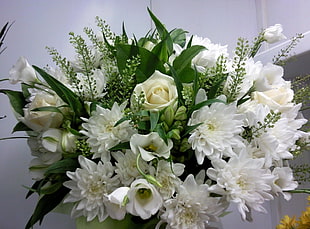 white flowers bouquet HD wallpaper