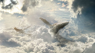 optical illusion of clouds and whale painting, fantasy art