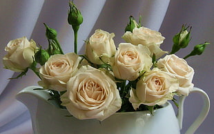white roses in white ceramic vase