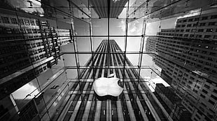 grayscale photo of glass frame Apple building