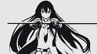 Akame from Akame Ga Kill illustration, Akame, Akame ga Kill!, anime vectors, vector