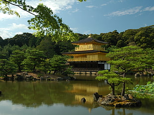 yellow painted pagoda, landscape, nature HD wallpaper