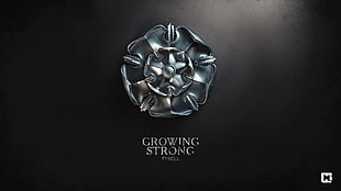 Game of Thrones, A Song of Ice and Fire, digital art, sigils HD wallpaper