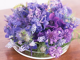 closeup photography of purple petaled flowers HD wallpaper