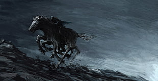 person riding black horse digital wallpaper